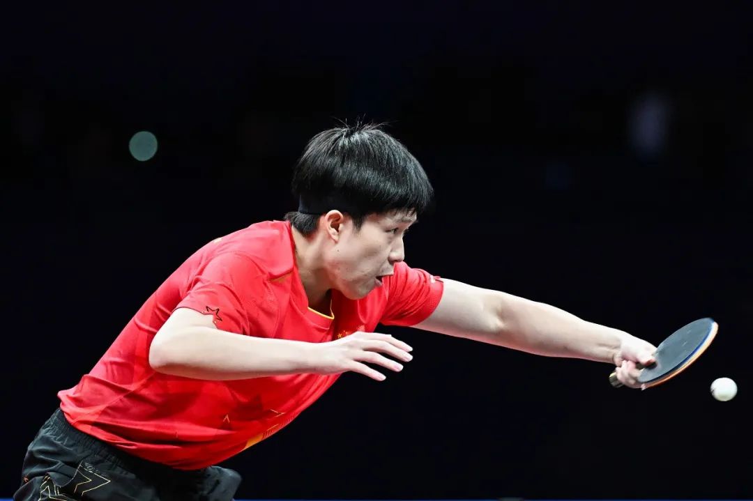 新手应专注 新手应专注