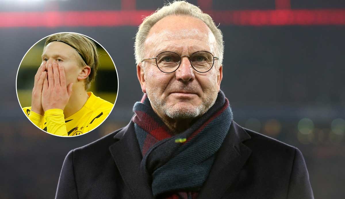 亮点与启示 亮点与启示